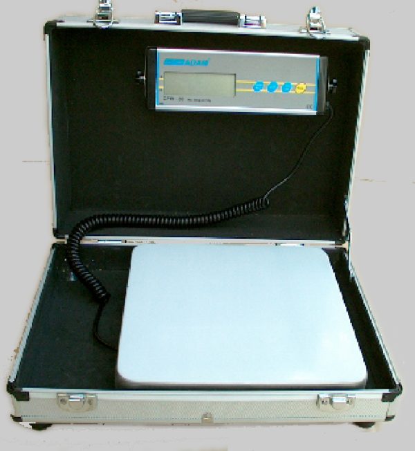 Field Scale